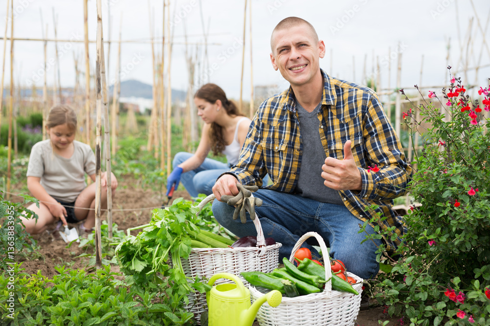 Fototapeta premium Smiling man farmer posing with harvest of ripe vegetables in garden on a sunny summer day