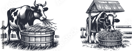 Set of Engraving Designs Cow on a Farm Eating Grass – Rustic Farmhouse Art for Home decor woodcut