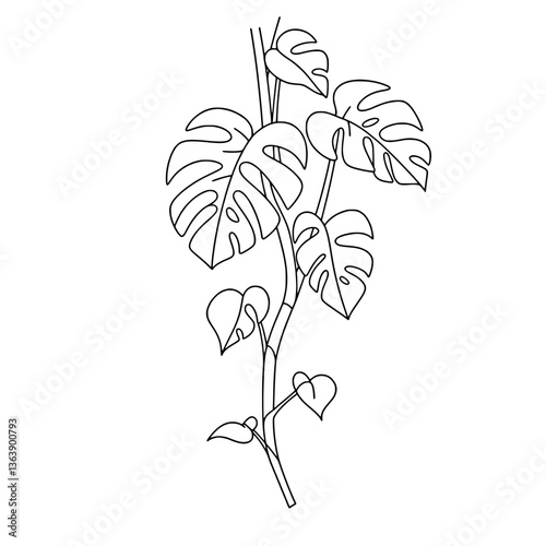 Bougainvillea Line Art Vector | Black and White Flower Coloring Page
