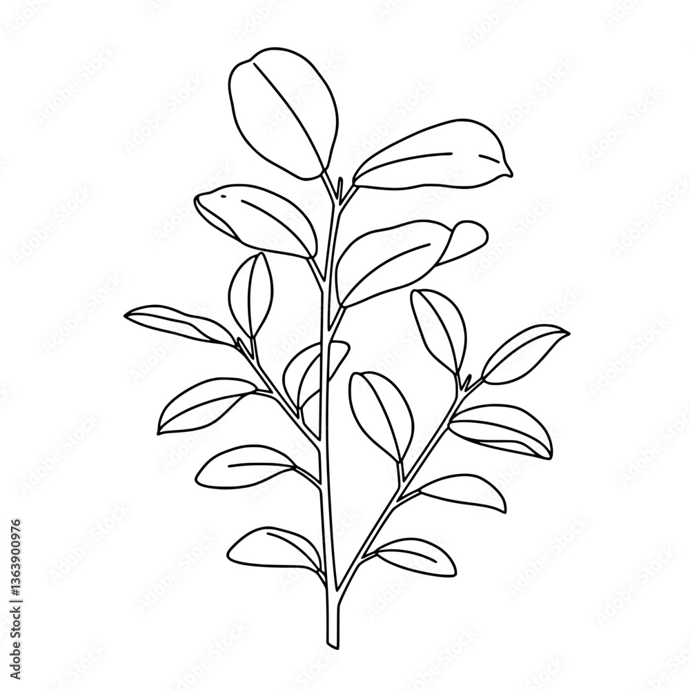 Passion Flower Line Art Vector - Black and White Floral Coloring Design Passion Flower Line Art Vector - Black and White Floral Coloring Design