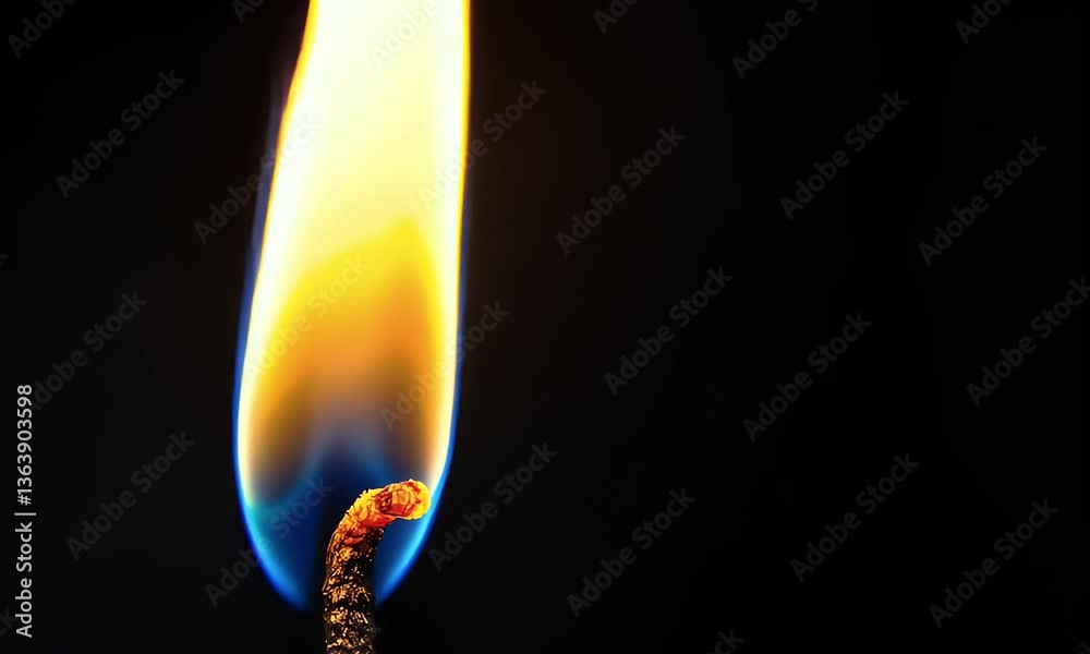 Close-up of a single flame burning brightly against a dark background, creating a warm glow Close-up of a single flame burning brightly against a dark background, creating a warm glow