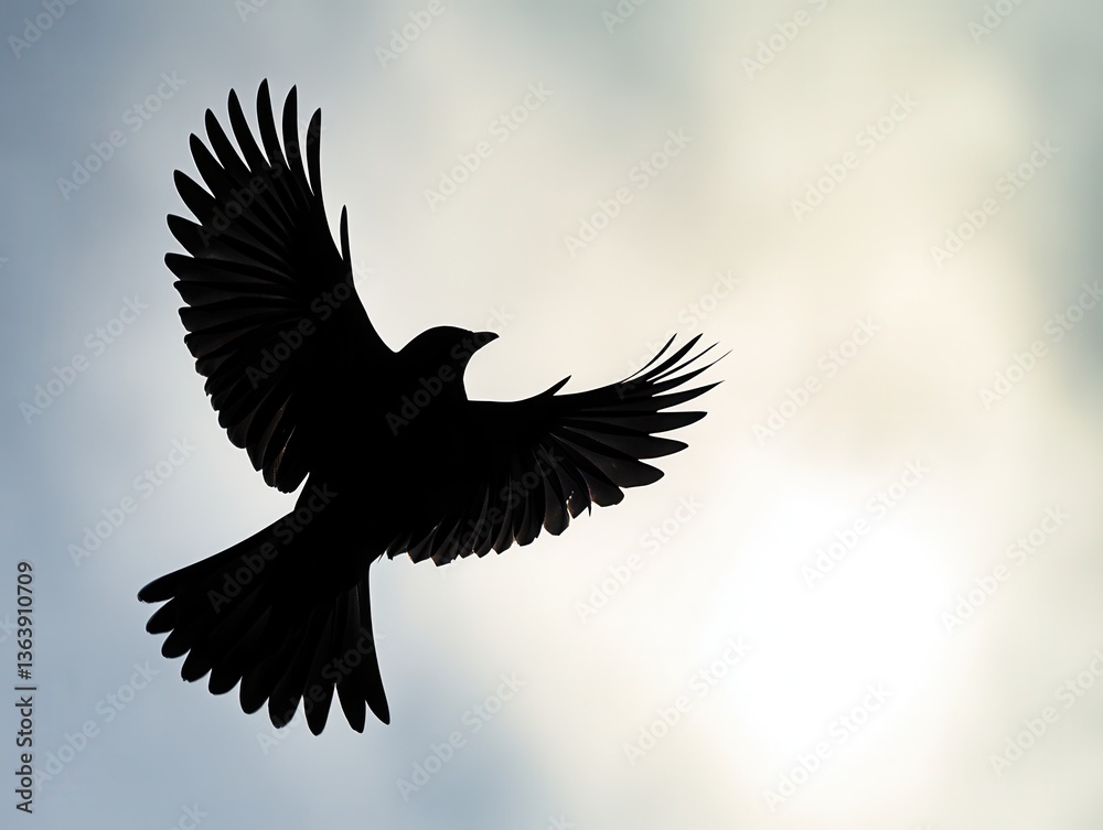 Obraz premium Silhouette of bird in flight with dramatic backlighting and negative space below