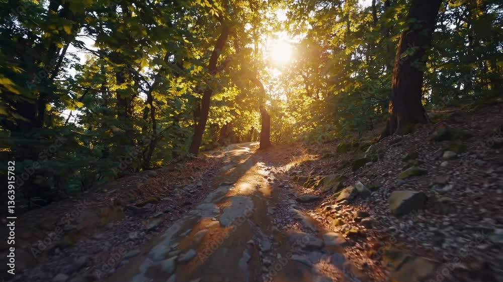 Enchanted Autumn Pathway Through a Sunlit Forest Enchanted Autumn Pathway Through a Sunlit Forest