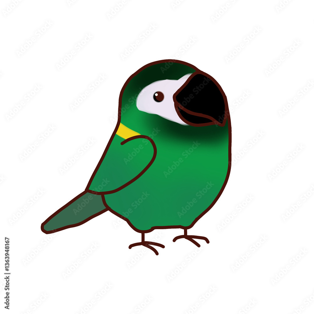 Obraz premium bird