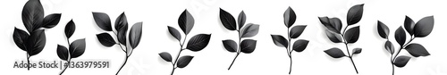 Leafy Serenity: An array of black leaves arranged in various positions, creating a sense of natural elegance and design.