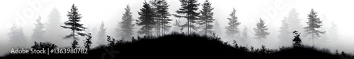 Enigmatic Forest Silhouette: A monochrome silhouette of a mysterious forest, shrouded in mist, evokes a sense of tranquility and serenity. Capturing the beauty and tranquility of the outdoors