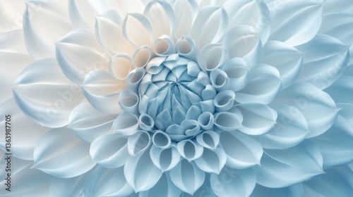 Blue Dahlia Bloom