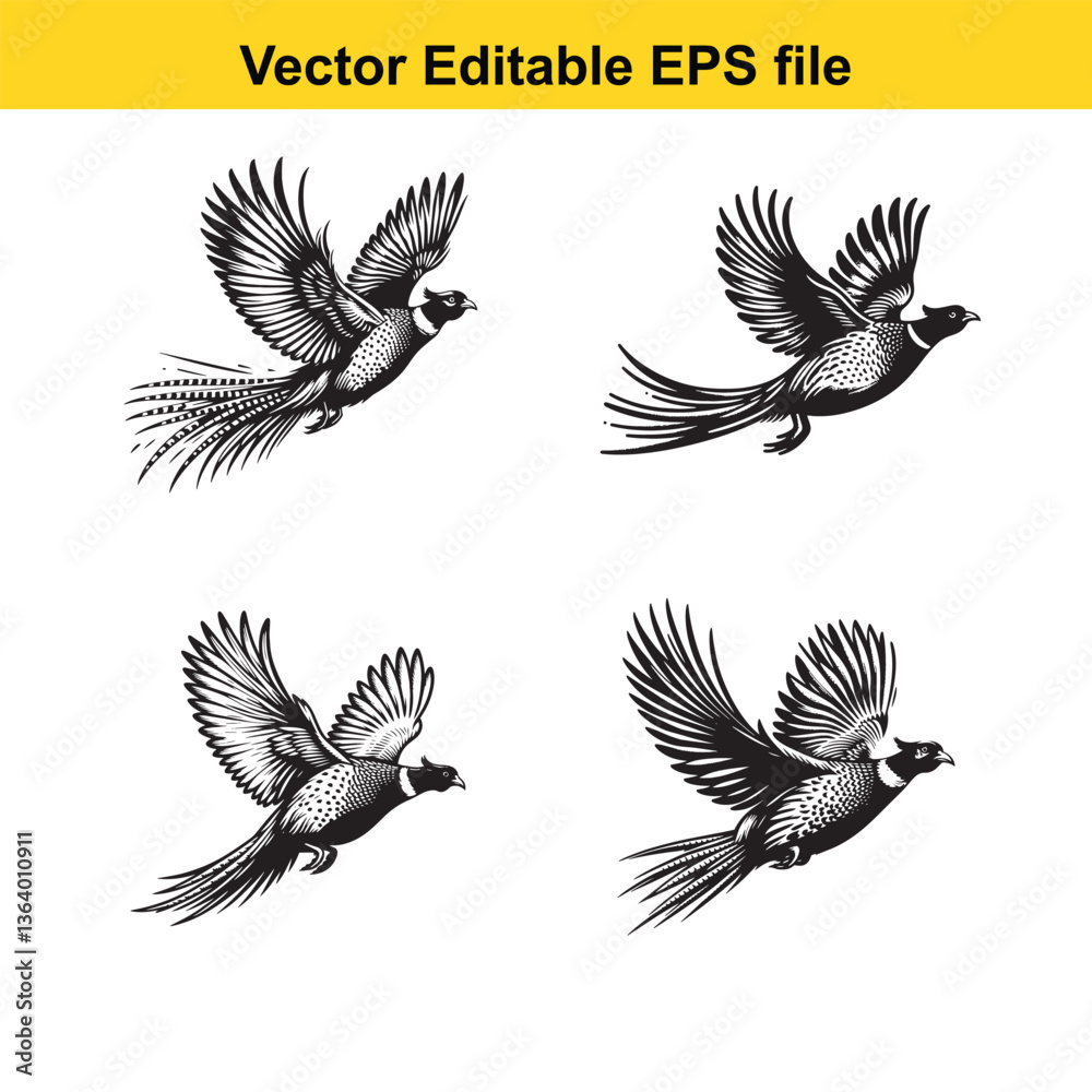 Obraz premium Vector Pheasant standing, running, and flying