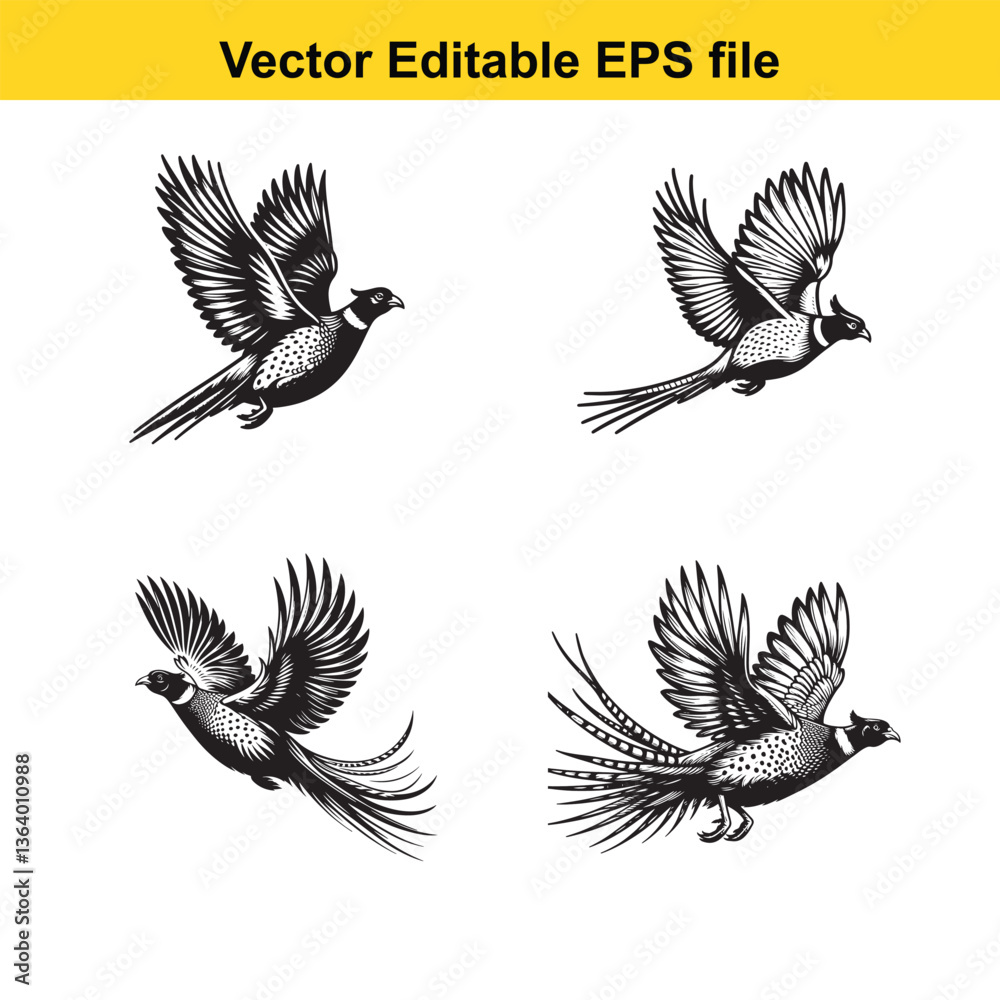 Obraz premium Vector Pheasant standing, running, and flying
