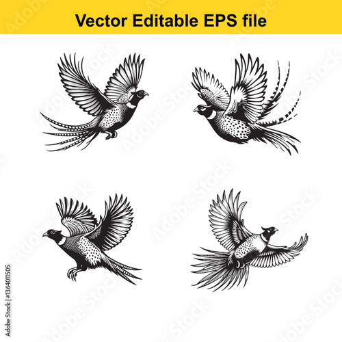Vector Pheasant standing, running, and flying
