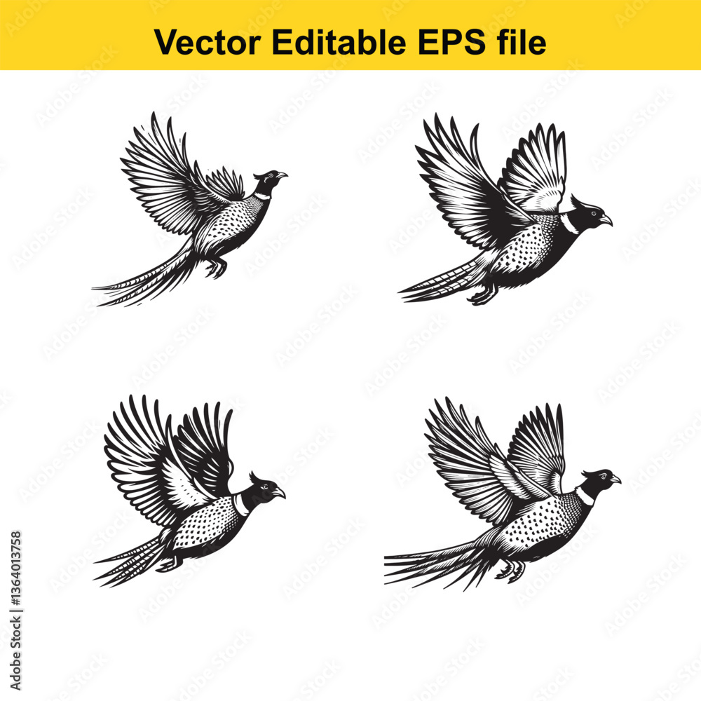 Fototapeta premium Vector Pheasant standing, running, and flying