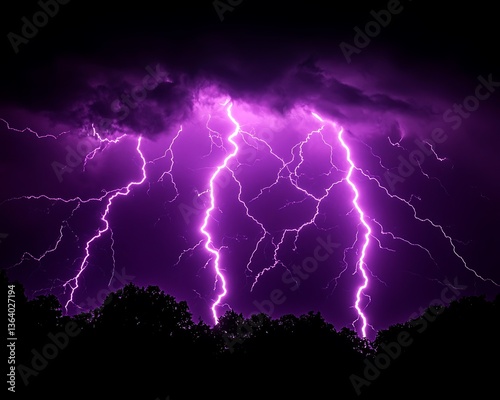 Night Lightning Storm over Trees photo