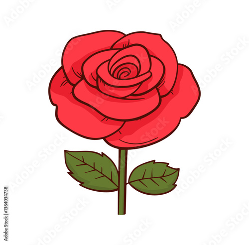rose flower illustration