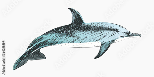 Dotted dolphin animal illustration vector