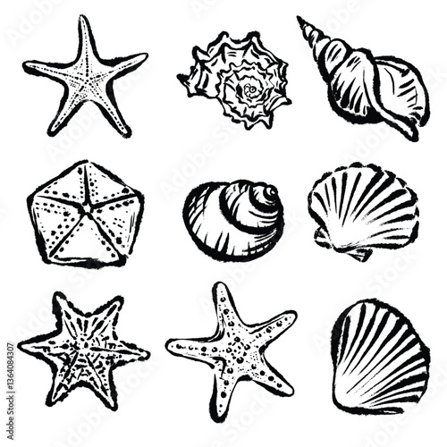 Seashells and Starfish elements vector set ink style