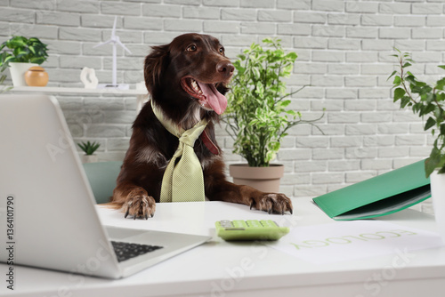 Funny dog with necktie at t...