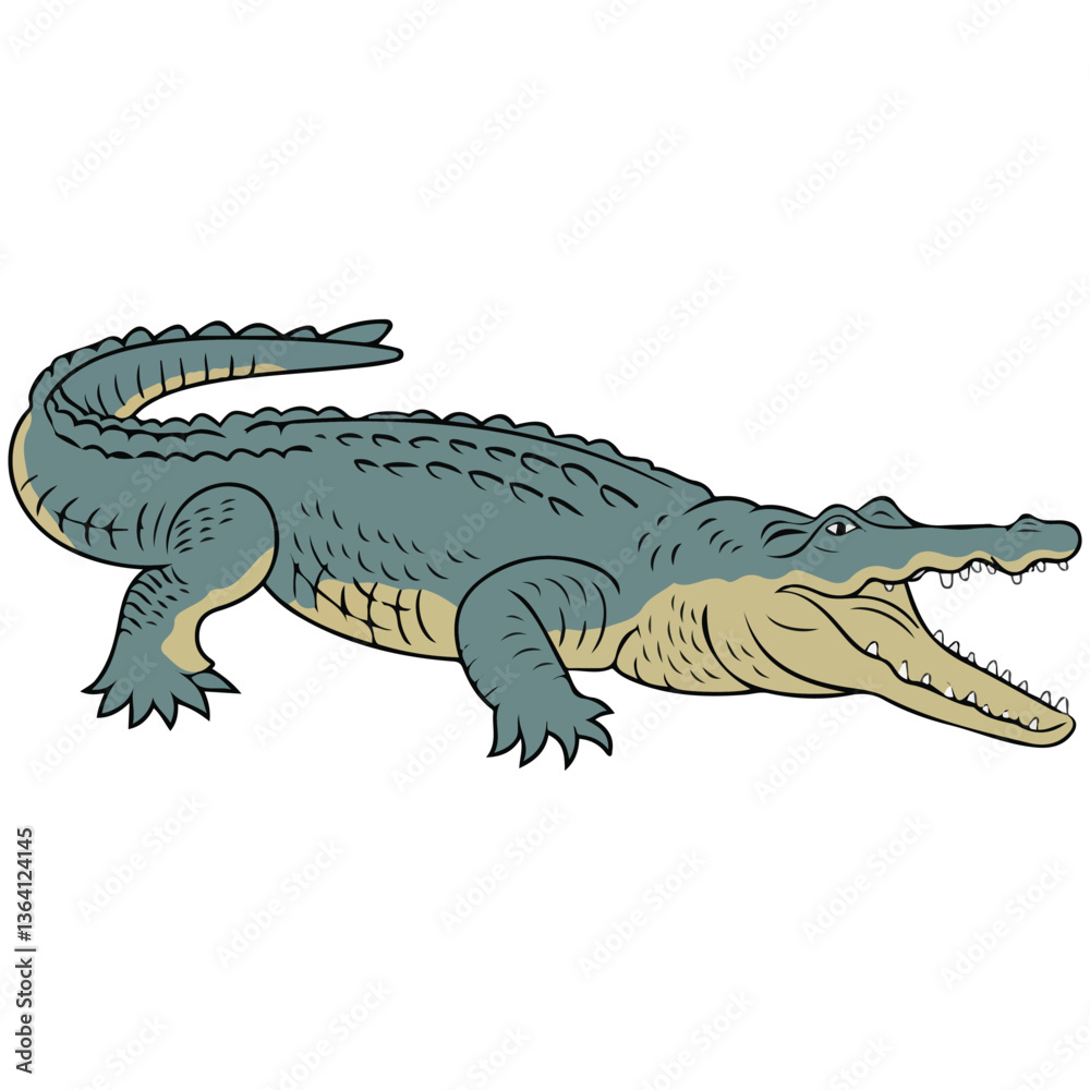 Obraz premium Wild crocodile illustration