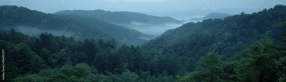 Fototapeta premium A misty forest landscape with rolling hills and dense greenery, capturing a serene and tranquil atmosphere.