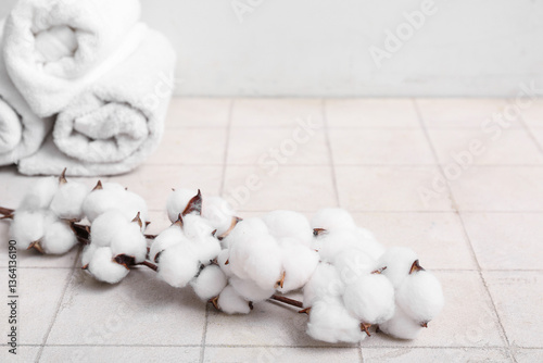 Beautiful cotton branch and...