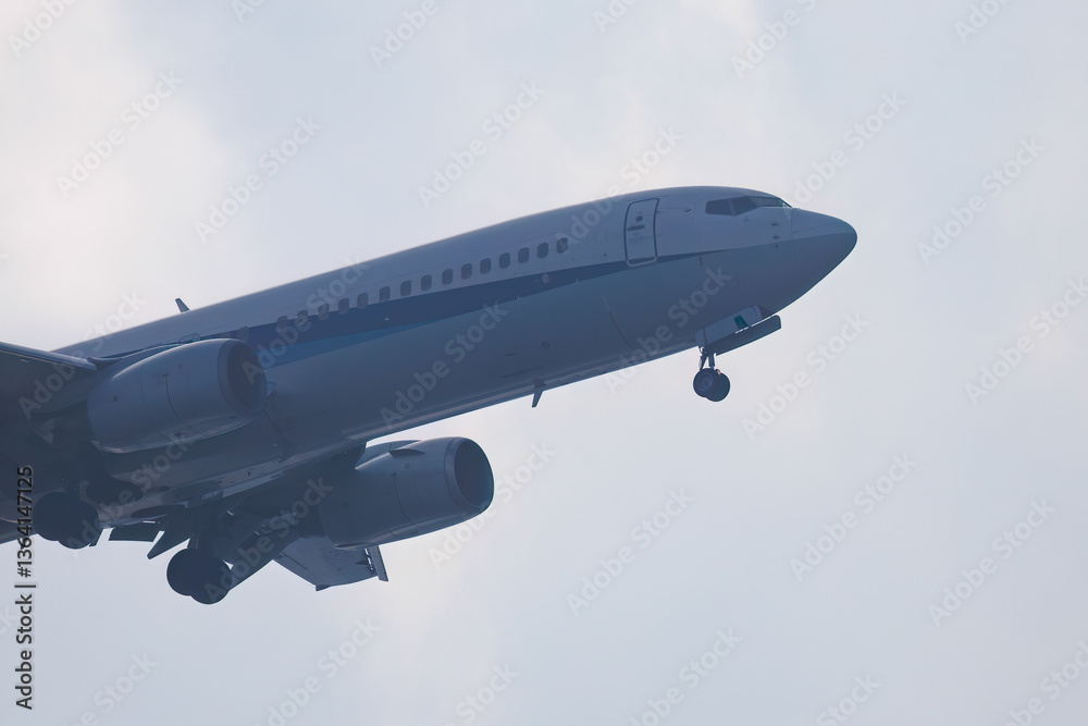 Obraz premium 頭上を飛ぶ飛行機。 島で唯一の空港、八丈島空港に着陸する。 強風の離島にあるため、離着陸に関しては世界でも屈指の難易度である。 日本三大廃墟の一つ、旧八丈オリエンタルリゾートホテルのすぐ近くを飛んでいる。 背後には巨大な八丈富士、三原山が見える。 東京都伊豆諸島八丈島-2025年 