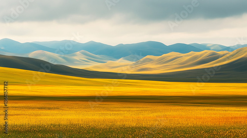 Desert, grassland, Mongolia, Middle East, Africa, travel,