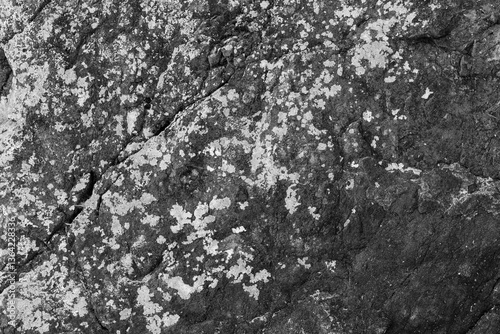 Wallpaper Mural rock texture with cracks stone background with copy space for design Torontodigital.ca