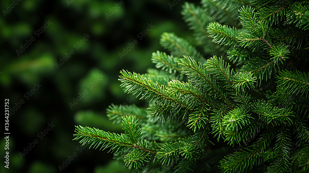 Close-up of vibrant green pine needles on a tree branch Close-up of vibrant green pine needles on a tree branch