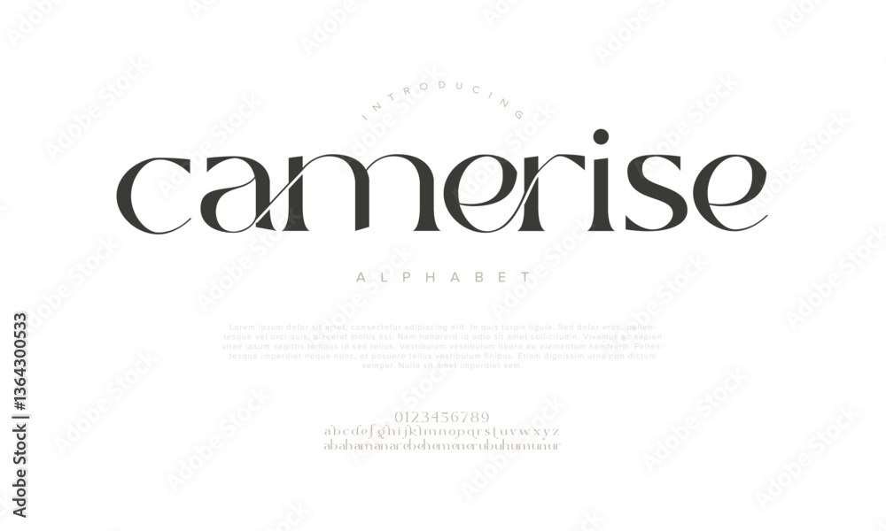 Camerise Elegant Font Uppercase Lowercase And Number. Classic Lettering Minimal Fashion Designs. Typography modern serif fonts regular decorative vintage concept. vector illustration Camerise Elegant Font Uppercase Lowercase And Number. Classic Lettering Minimal Fashion Designs. Typography modern serif fonts regular decorative vintage concept. vector illustration