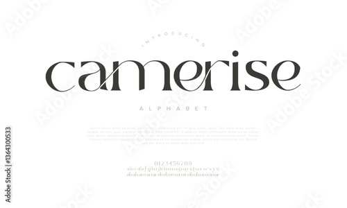 Camerise Elegant Font Uppercase Lowercase And Number. Classic Lettering Minimal Fashion Designs. Typography modern serif fonts regular decorative vintage concept. vector illustration