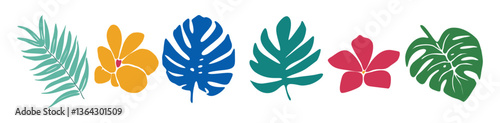 Tropical leaves and flowers colorful set. Mostera, Palm leves, plumeria flowers Flat vector illustrations isolated on transparent background