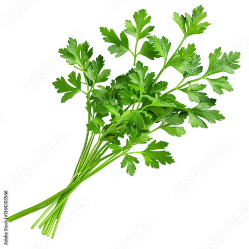 Bunch of parsley