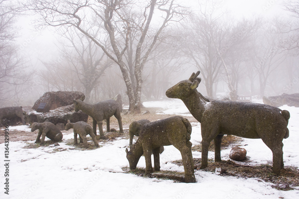 Fototapeta premium Deers statue and snow falling in forest on Hanla Mountain volcano or Mount Halla in Hallasan National Park for korean people travelers travel visit at Jeju on February 17, 2023 in Jeju-do, South Korea