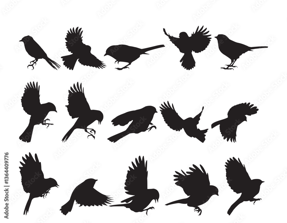 Fototapeta small bird fly silhouette