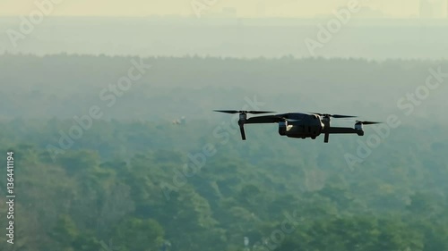 Wallpaper Mural Swan flies past drone over misty forest, golden spring sunrise flight sequence Torontodigital.ca