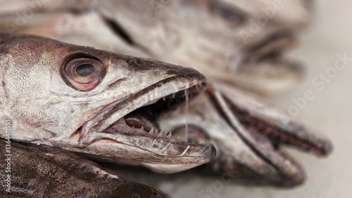 Canvastavla auf dem Fischmark
