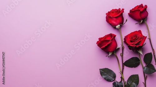 Stock photo of red roses on pastel purple background on pastel red background. Space for copying text.