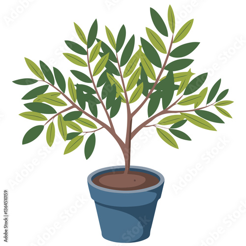 Potted succulent plant