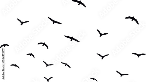 silhouette of a flock of birds vector illustration on a white background.