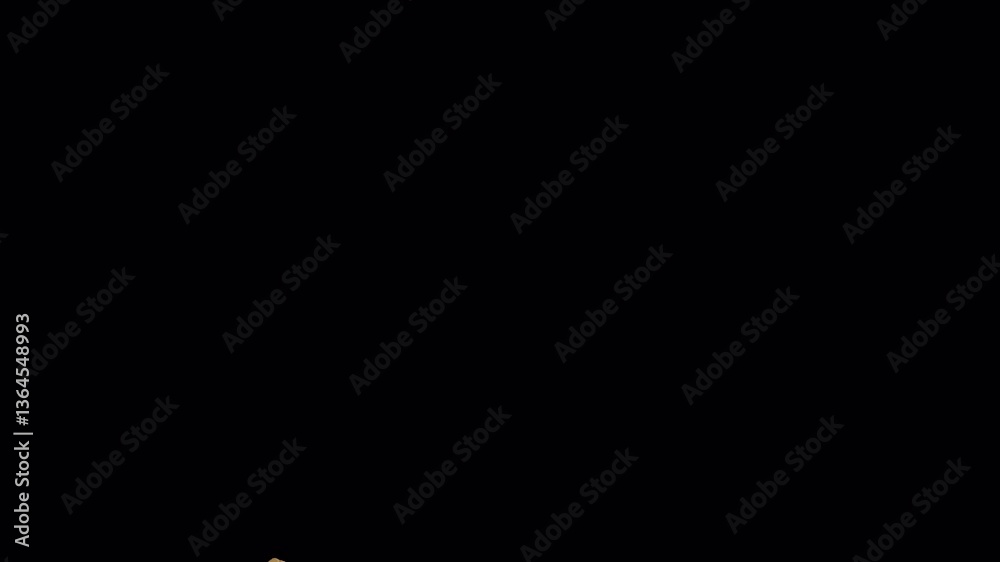 Fortune Cookie transition element with alpha channel.