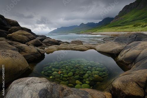 A coastal tide pool filled with colorful marine life, nestled between smooth, weathered rocks
