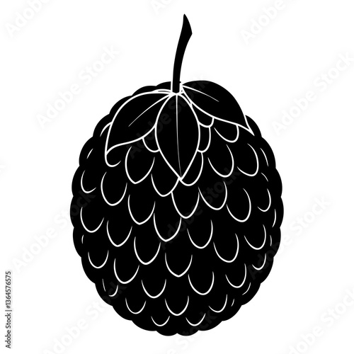 fruit vector illustration