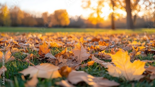 Wallpaper Mural Golden Autumn Leaves on Green Grass in a Sunny Park Torontodigital.ca