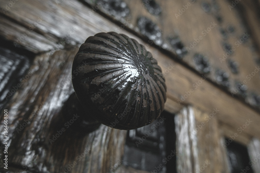 Obraz premium Old Wooden Door with Iron Details