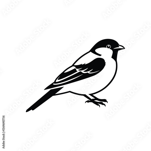 Great Tit Bird Vector Illustration