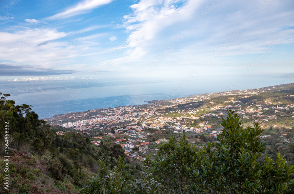 Obraz premium Town Icod de los Vinos, Island Tenerife, Canary Islands, Spain, Europe.