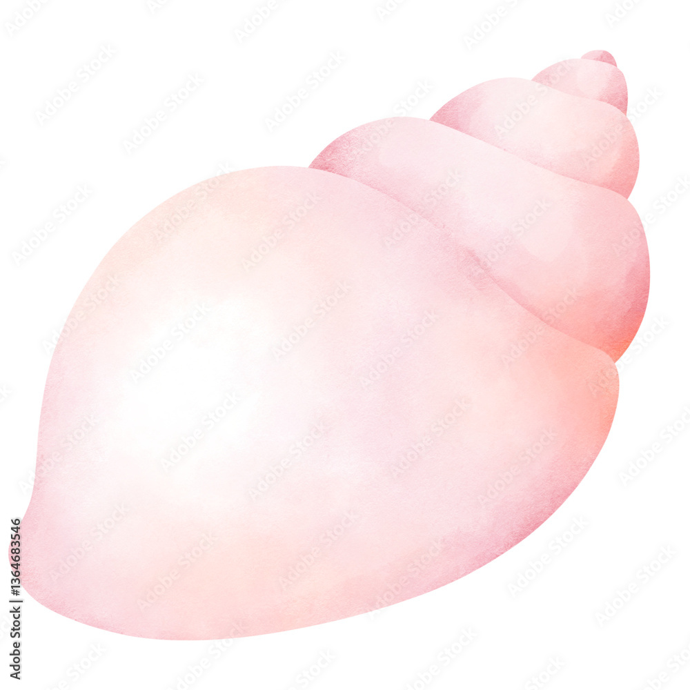 Watercolor Illustration of a Seashell Watercolor Illustration of a Seashell