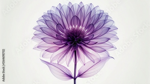 X-Ray Purple Flower: Delicate Ethereal Petals on White Background