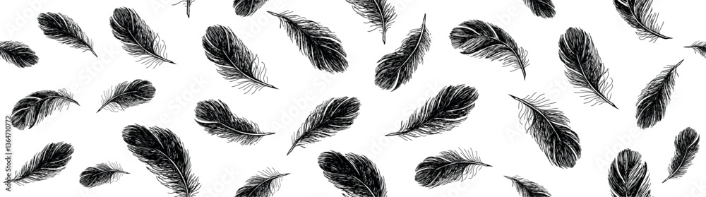 Obraz premium Feathers pattern on white background, Hand drawn sketch style.