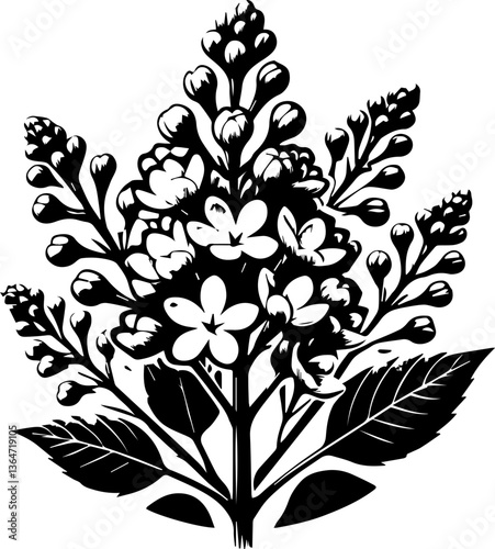 vector floral ornament