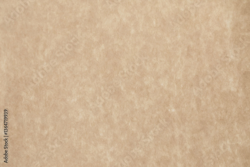 Obraz na płótnie Brown paper blackground and texture and space for design, rectangle shape w salonie